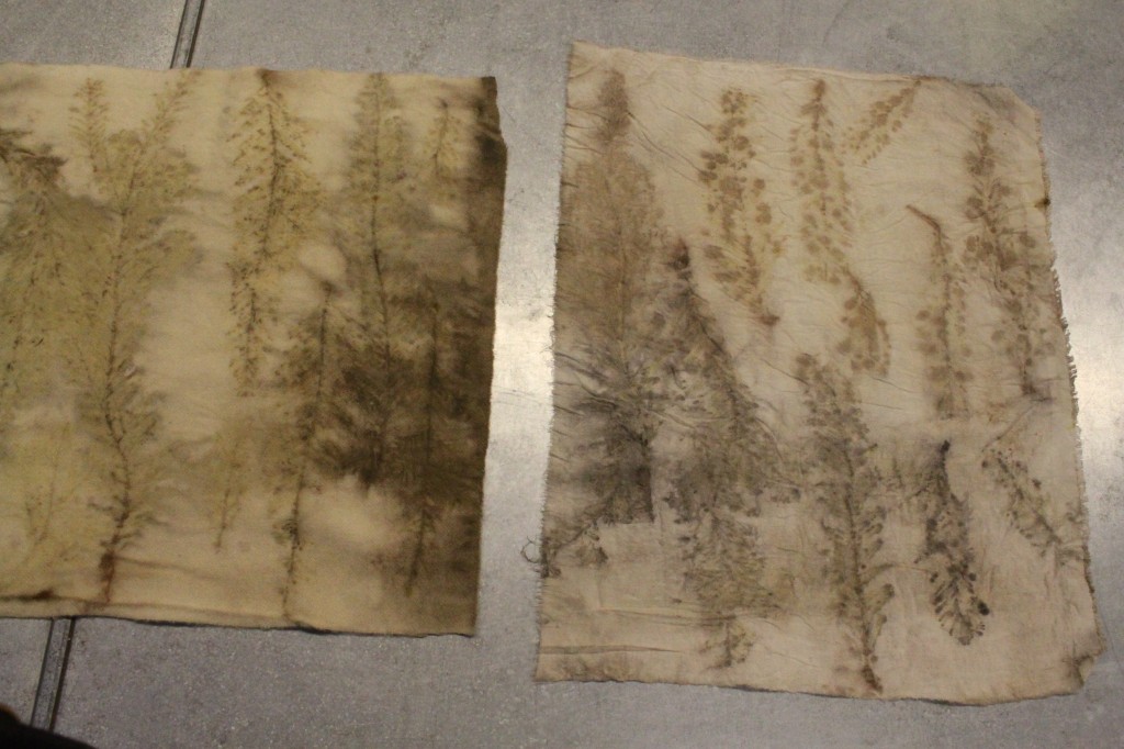 Botanical Print Samples 