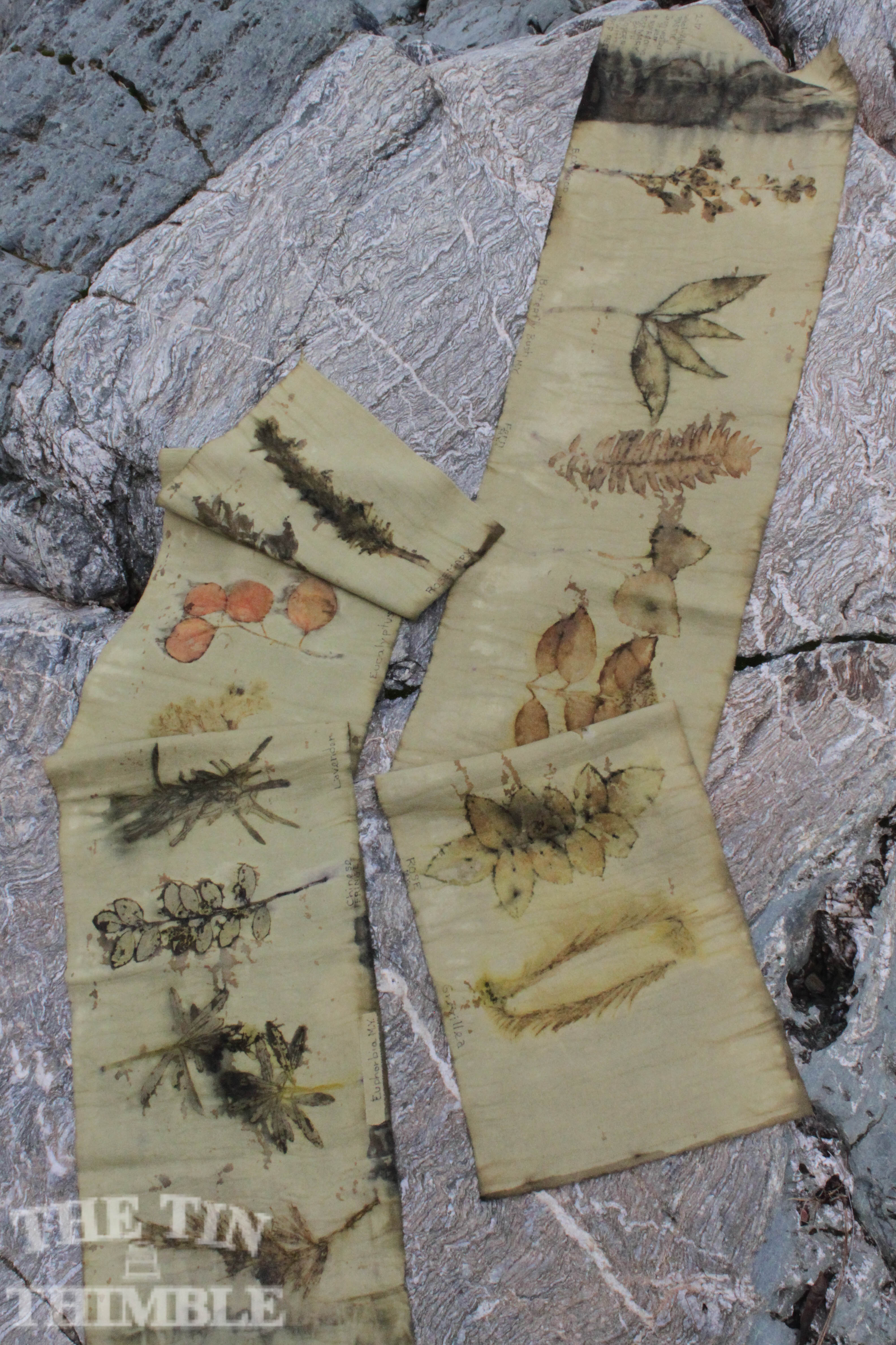 Botanical Dyeing Samples by Sharon Mansfield