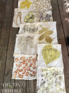 LEVEL 1: Botanical Dye Samples - Private Lesson Only @ Loomis | California | United States
