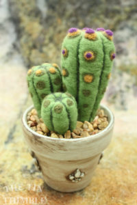 Level 1: Needle Felted Cactus @ Loomis | California | United States