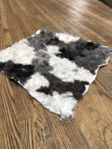 LEVEl 2: Felting with Raw Wool - Pinto Pillow